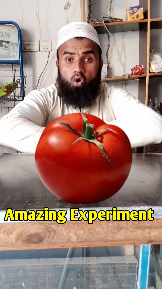 Amazing tomato experiment  explore tomato experiment  #foryoupage #foruyou #unfreezemyacount #experiment #viral #trending #LifeHack  #UKTikTok #USTrending #ForYouUK #ForYouUS