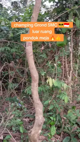 agenda SMC jaya jaya jaya 🔥😎🇮🇩 #jangkauanluas  #pengikut  #fypシ゚vira 