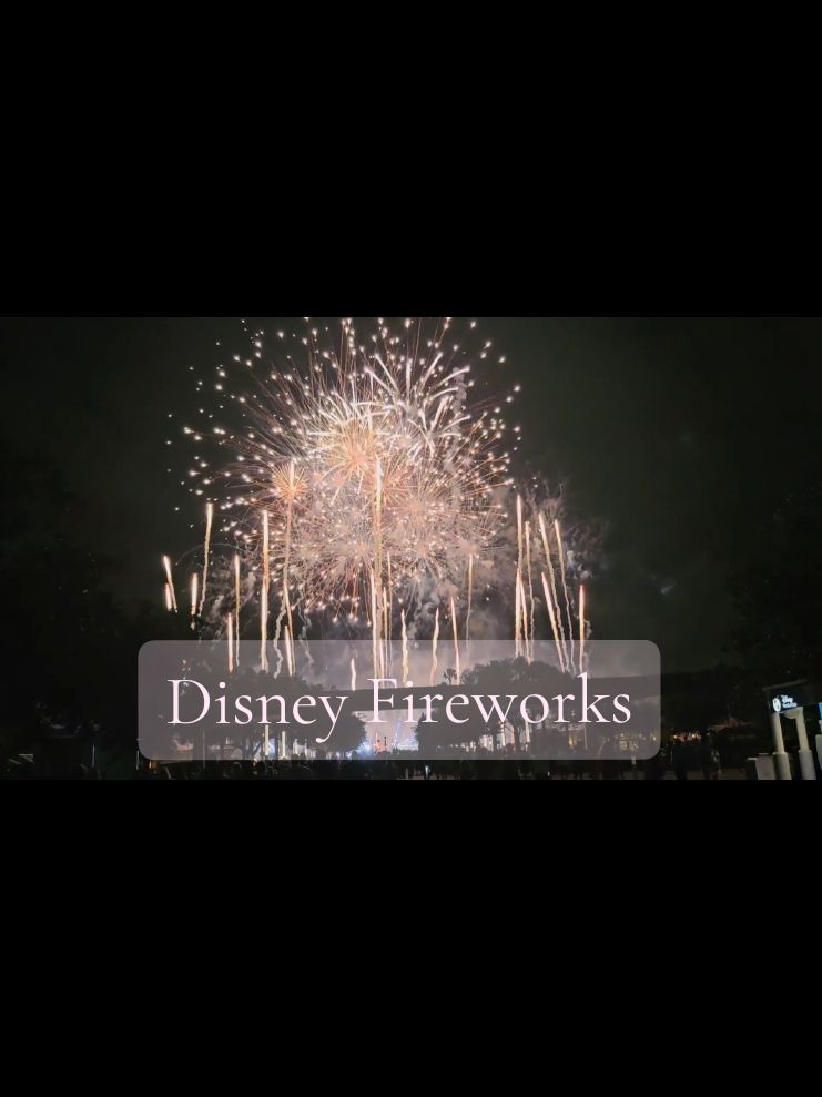 We all need this✨️🫶 #wdwparks  #disneyworldfireworks #disneyparkslife  #epcotdisney #creatorsearchinsights 