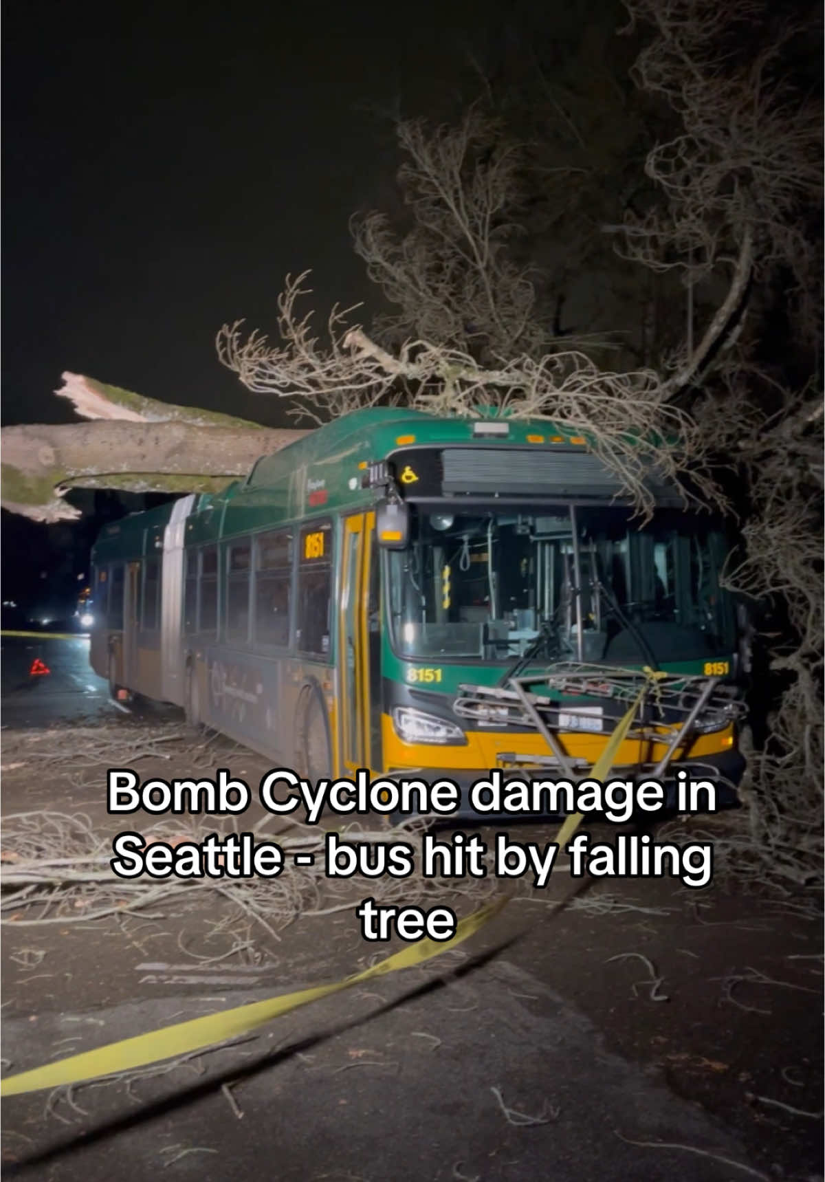 A bus in #Seattle was hit by a falling tree during the #bombcyclone storm #weather #severeweather the driver is OKAY - no passengers onboard. 