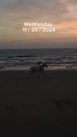 Daily Prayer Wednesday 11/20/2024 #prayer #christiantiktok #prayersneeded #godisgood #christian #morningprayer #bible