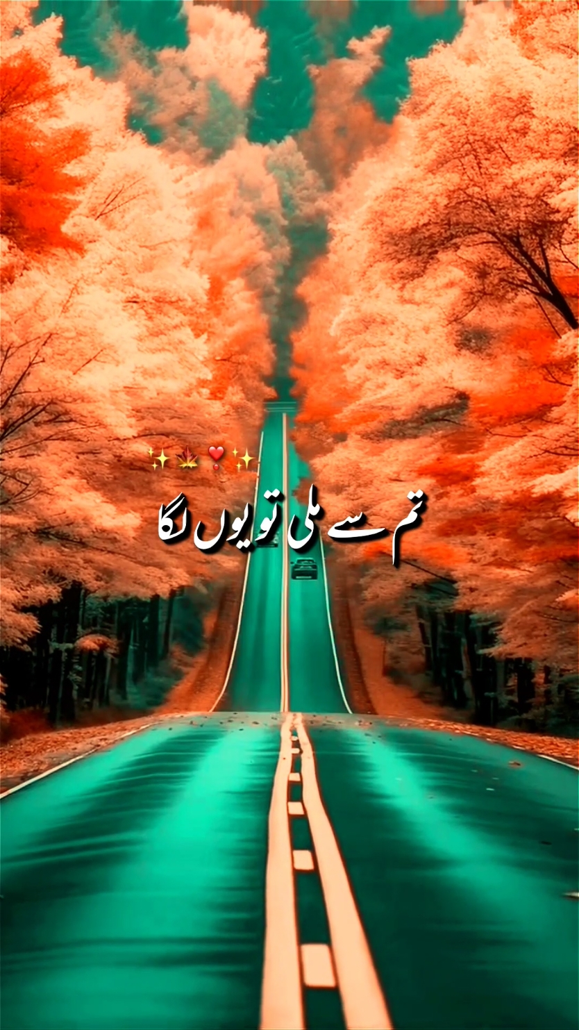 tum sa mile Tu Tu laga#song #romanticsong #foryou #foryoupage #standkashmir #magicanimation #viral #fyp 