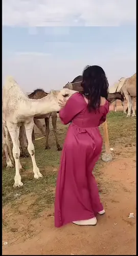 #فنان_العرب #محمد_عبده #من_يلوم_المغرم #ذكرتني #اكسبلورexplore #السعودية #موسم_الرياض #الامارات #دبي #الرياض #بدويه #دبي #المغرب #الذكاء_الاصطناعي #اجواء_الشتاء #ترند 