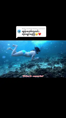 Replying to @David Aung snorkeling နဲ့ Free Dive လုပ်တာပါရှင် 😍#travellingbythiritun #ကျွန်းလည်ပြီးsnorkellingလုပ်#ညောင်ဦးဖီးကျွန်းမှာရိုက်ထားတာ #replytocomments #replymassage #ရေငုတ်မယ် #ရေအောက်အလှတွေကြည့်မယ် 