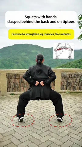 Squats with hands clasped behind the back and on tiptoes.#taichi #exercise #meridian #practice #tcm #healthylifestyle #strength #legs #chineseculture 