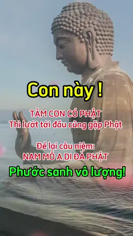 🙏🙏🙏 #giacngophatphap #phatphapnhiemmau #phatphap#nammobonsuthichcamauniphat 