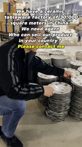 #ceramic #tableware #dinnerware #factory #foryou #plate #bowl 