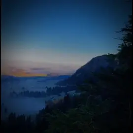 Un amor prohibido... #ganassobran #bryantmyers #alejxx_lyrics #letras #music #musica #temazo #dedicar #indirectas #lyricsparaestados #dedicarvideos♡ #letrasdecanciones #estadosdewhatsapp #rolitas #rolitaschidas #lyrics #paratiiiiiiiiiiiiiiiiiiiiiiiiiiiiiii #💛