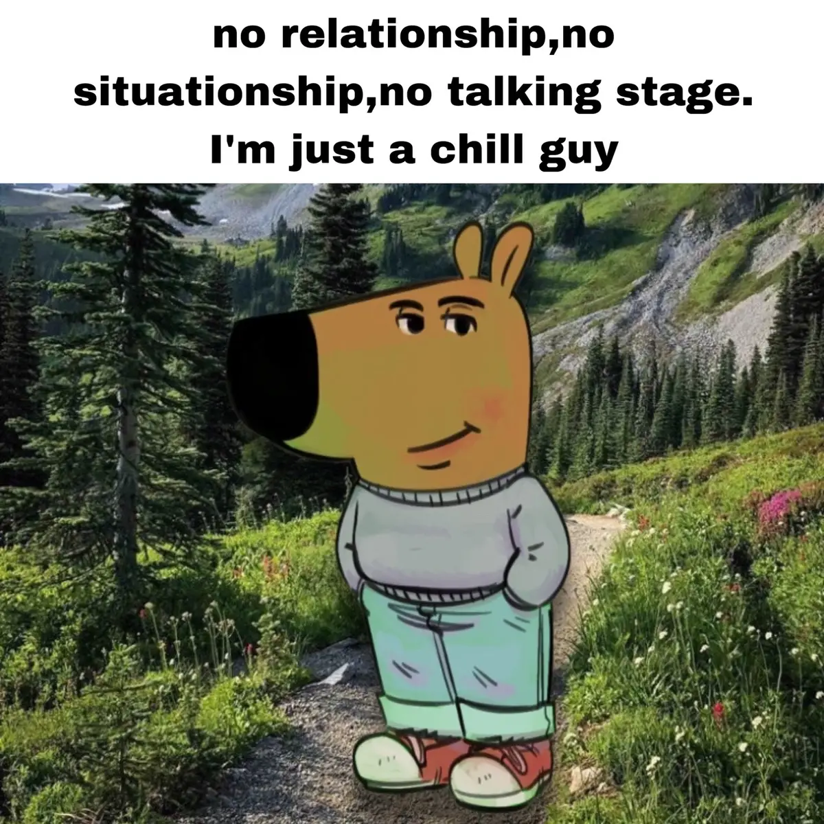 Im just a chill guy after all🙏#chillguy #relatable #slideshow #devkinji 
