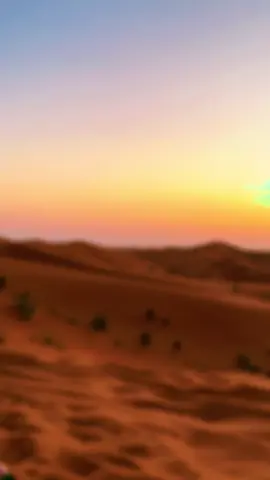 #alain_uae 