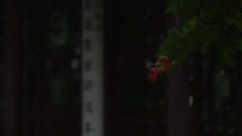 Song: Chăm chú - Đinh Vũ Hề #nhactrung #xh 