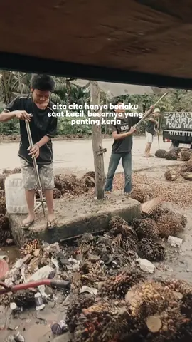 #sawitriau #brondolanbalap 