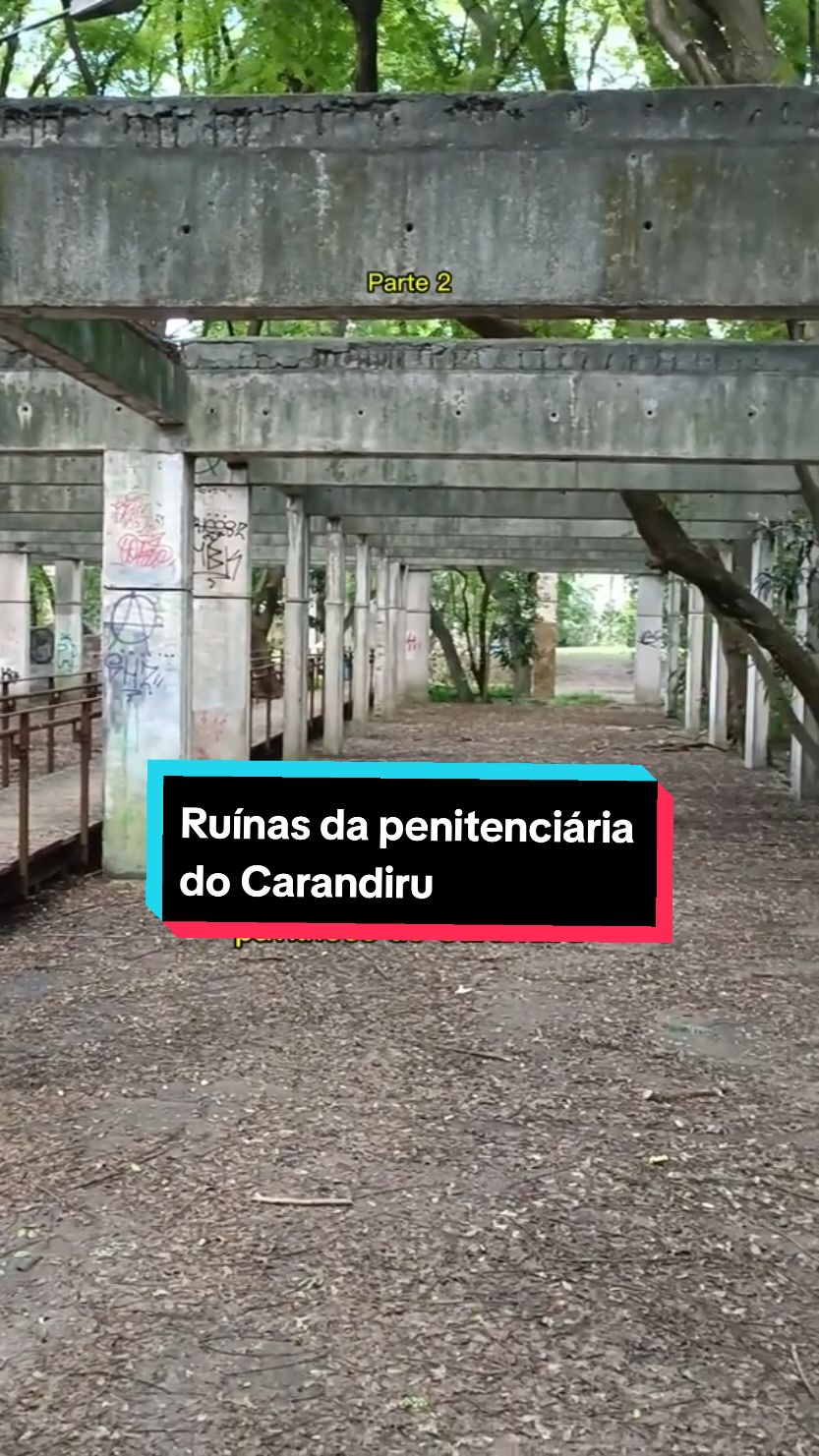 São Paulo Cidade tem lugares que preservam a memória de um passado que não podemos esquecer, my day routine. O vídeo mostra o parque chamado Parque da Juventude, construído no lugar do complexo penitenciário do Carandiru após a demolição  que ocorreu em 2002   A chacina do Carandiru foi como ficou conhecido o massacre que ocorreu nesse lugar no dia 02 de outubro de 1992. Uma rebelião que ocorreu no Pavilhão, 9 provocou uma reação policial que chocou todo mundo, cento e onze presos foram assassinados.  Esse fato foi alvo de investigações e processos judiciais e serviu de inspiração para teses acadêmicas, reportagens, livros e filmes.  O Carandiru, foi inaugurado em 1920 com capacidade máxima para 1.200 presos, durante anos foi vendido como uma penitenciaria modelo e ficou conhecido como casa de regeneração, mas, com o passar do tempo, foi acumulando deficiências no respeito aos direitos humanos fundamentais resultando no fato histórico que vocês já conhecem.   #turismo #viagem  #saopaulo  #brazil  #viajar  #fyp 
