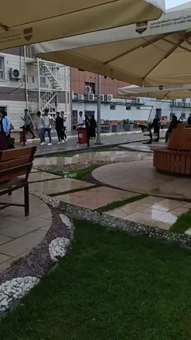 فإِن تَسأَلَنّي كَيفَ أَنتَ فَإِنَّني صَبورٌ عَلى رَيبِ الزَمانِ صَعيبُ حَريصٌ عَلى أَن لا يُرى بي كَآبَةٌ فَيشمُتُ عادٍ أَو يُساءَ حَبيبُ . . #fyp #ذي_قار #الناصريه #الجامعة_الوطنية_للعلوم_والتكنلوجيا #الشعب_الصيني_ماله_حل😂😂 