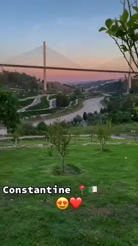 @Mima @mute moi 😒😒😒😒 @laconstantinoise @𝐃𝐞𝐒_𝐓𝐨𝐏 @Annabia2375 @Baki @Fatima 🇩🇿 @Kamel dz 31 