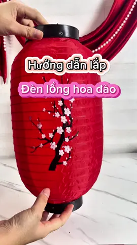 Đèn lồng hoa anh đào trang trí cửa hàng em về nhiều #tet2025 #decortet #settet2025 #decornhacua #xh #minhthuy88 