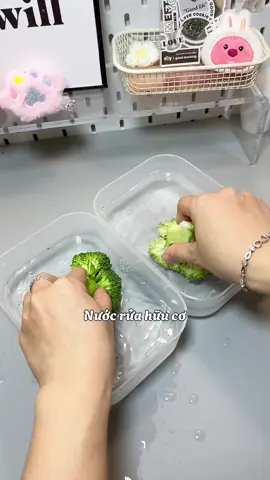 Nước rửa hữu cơ Sukgarden rửa rau củ, hoa quả, rửa bát.. siu tiện lun #sukgarden #nuocruahuuco #nuocruahoaqua #muataitiktokshop #xuhuong 