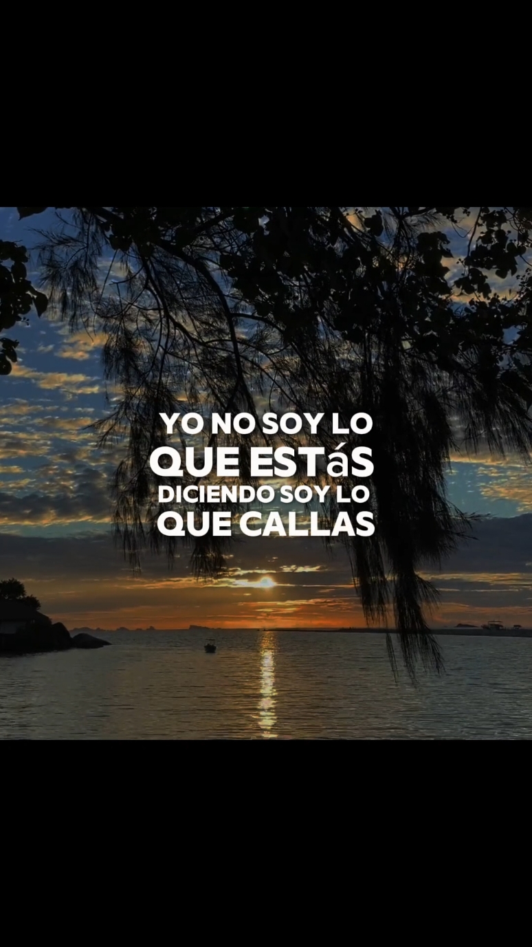 Hasta aquí llegue - Beele - Nanpa basico  #hastaaquillegue #beele #nanpabasico #estadosparawhatsapp #alejandro_050324 #videoslyrics #letrasdecanciones #fyp #paratii 