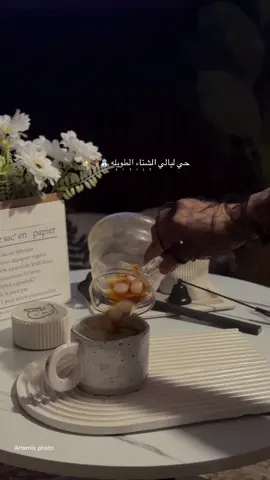 صوته متعلق بالشتاء 🔇🎙️⛄️ #بدون_موسيقى #اكسبلور #بدون_هشتاق #explor #tiktok #fypシ゚viral #foryou #fypage #CapCut 