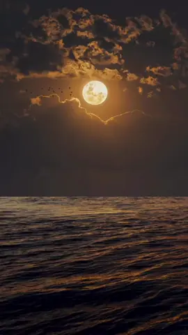 OLD_RAI_MIX |✓RAOLI_DZ #ghani_music #rai_algerien #fouryoupage #arabicsong @🌼NADIA♓ⵏⴰⴷⵢⴰ🌼 @𝑲𝑯𝑨𝑫𝑰𝑱𝑨 @Adem Annaba @Amira @hayoota milano 