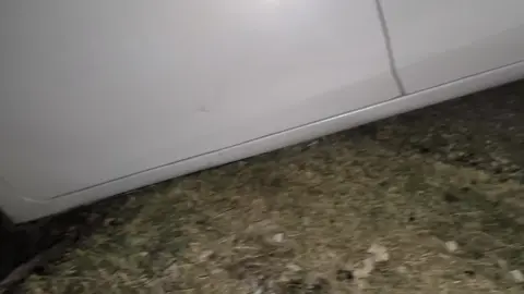 ضليت اسمع ب أحلى حلقة حتى شفتا...😂  ( منيح ماكانت الأخيرة ) 