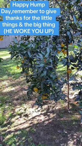 Anit gon let nothing steal my joy🙏🏿👍🏿👏🏿🥰