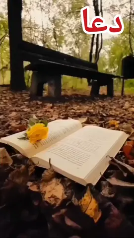 Dedicated to All my friends 🥰❤️ @🇸𝙖𝙢𝙚𝙚𝙧 🇦𝙝𝙢𝙚𝙙𝄟 @☄️𝐒 𝐀 𝐀 𝐃☄️ @𒆜𝗝𝘂ñÃ𝗶ïÐ𒆜 @MR•Faujii @🇦𝙡𝙞 🇭𝙪𝙨𝙣𝙖𝙞𝙣𝄟✮⃝    #Dua #bestdua  #urdupoetry  #pray #bestfriend #bestie  #bestfriendforever #dosti #duaforsuccess  #wish 