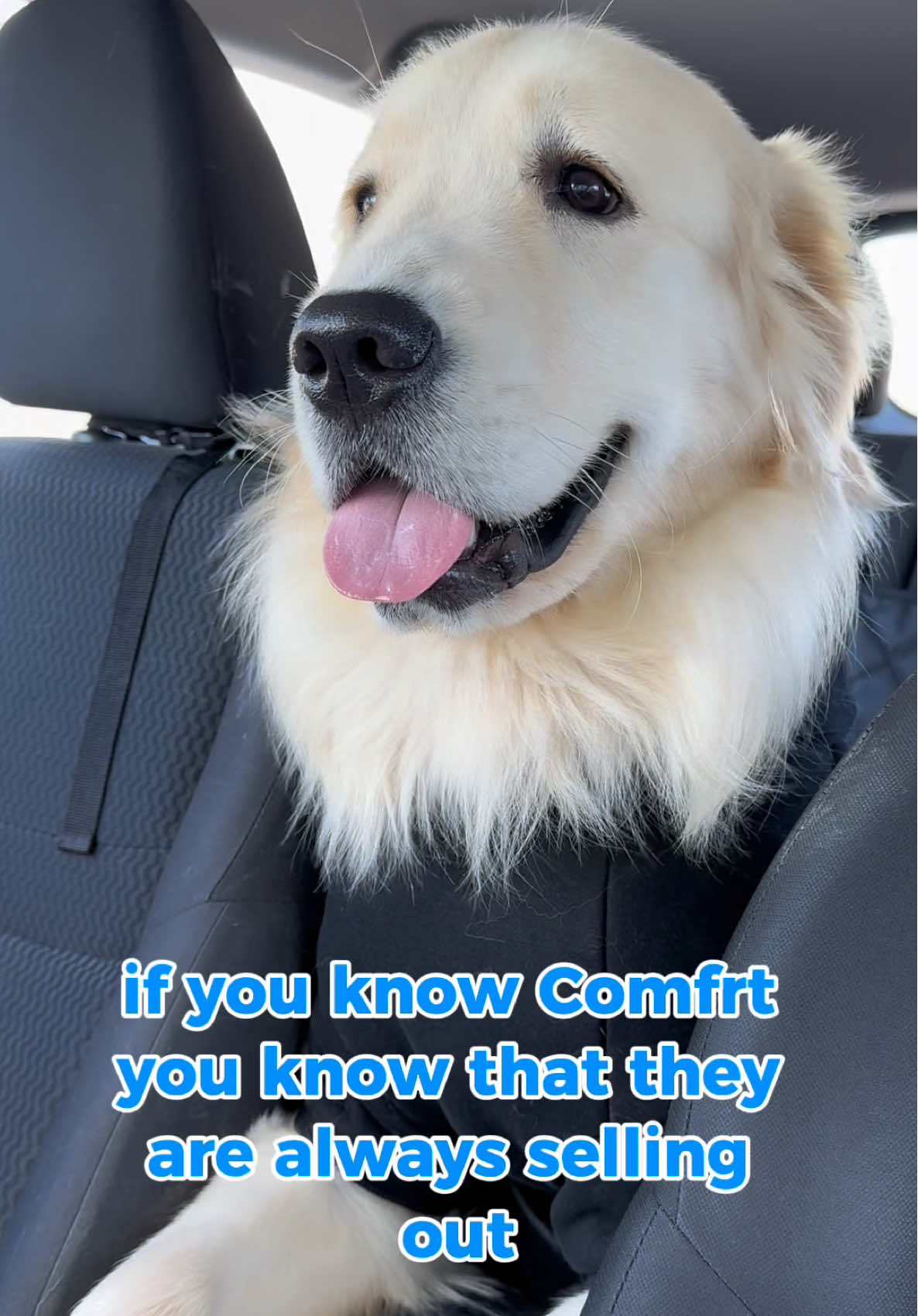 Replying to @Myranda the best dog hoodie!! @Comfrt Paws 