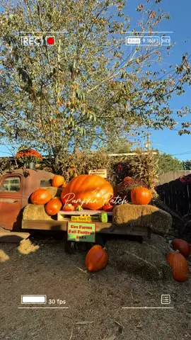 #pumpkinseason 