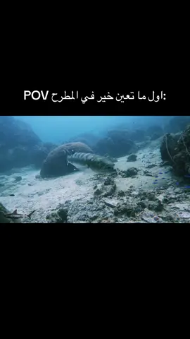 #صيد #سمك #جدة #كورنيش_جدة #fyp #jeddah #foryoupage #اكسبلور 