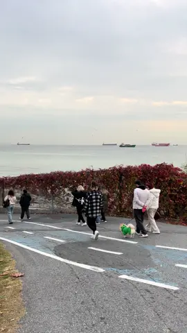 #algeria #chebbilal ❤️❤️🇩🇿🇩🇿