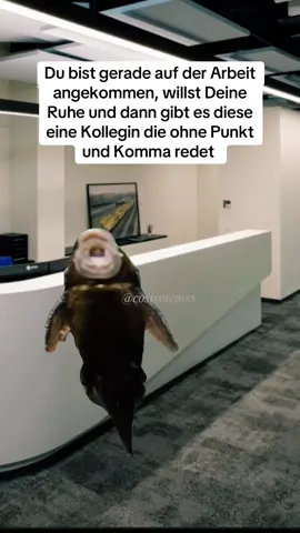 #cosismemes #teamcosi #tiktokdeutschland #funnyvideos #fypシ #viral #arbeit 
