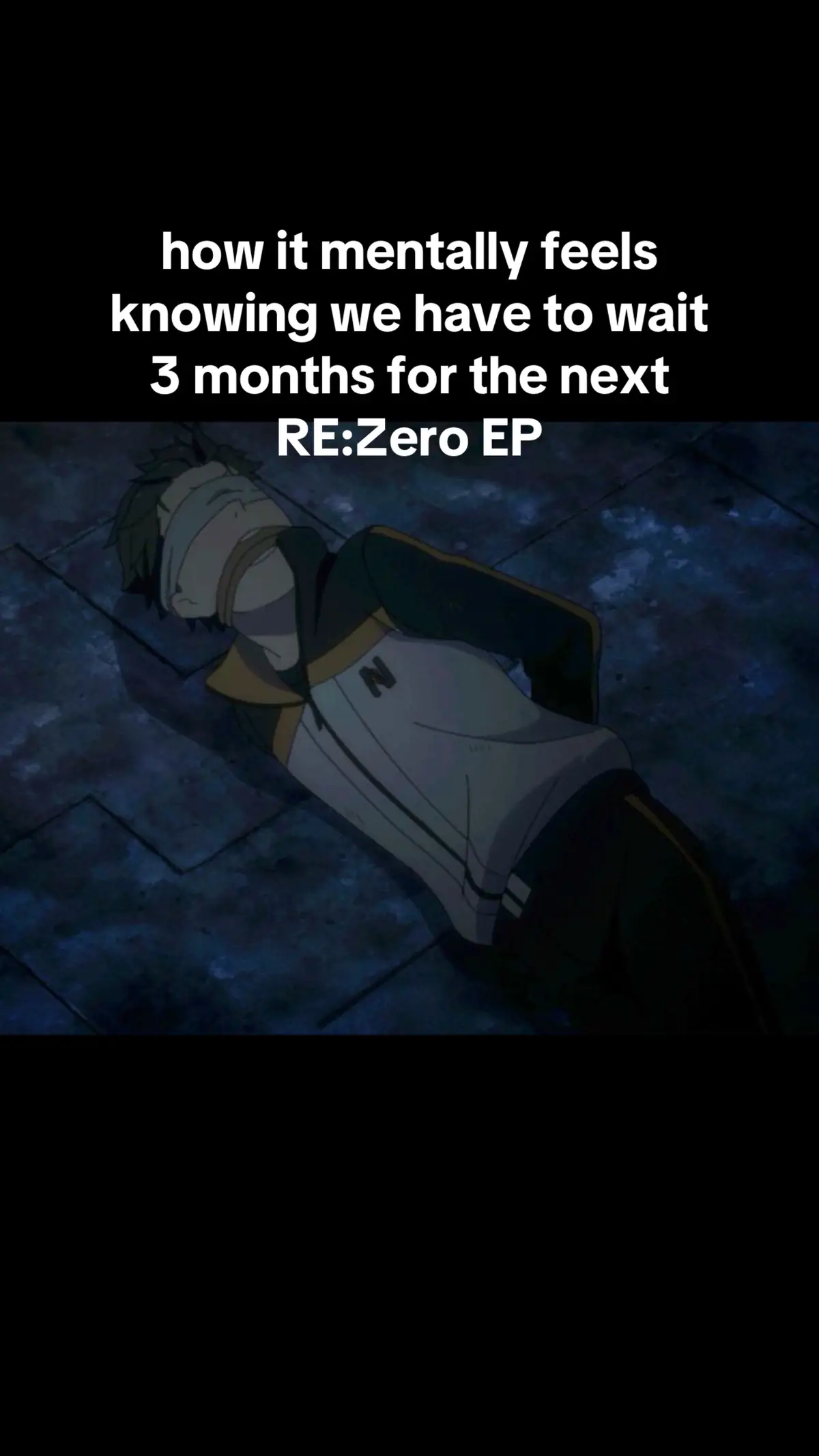 #rezero #rezerokarahajimeruisekaiseikatsu #rezerostartinglifeinanotherworld #subaru #rezerorem #rem #rezeroseason3 #rezeroemilia #meme #fyp