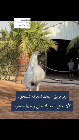 الرد على @user6592449728614 #عبارات #اقتباسات #fypシ゚viral #fyp #explore 