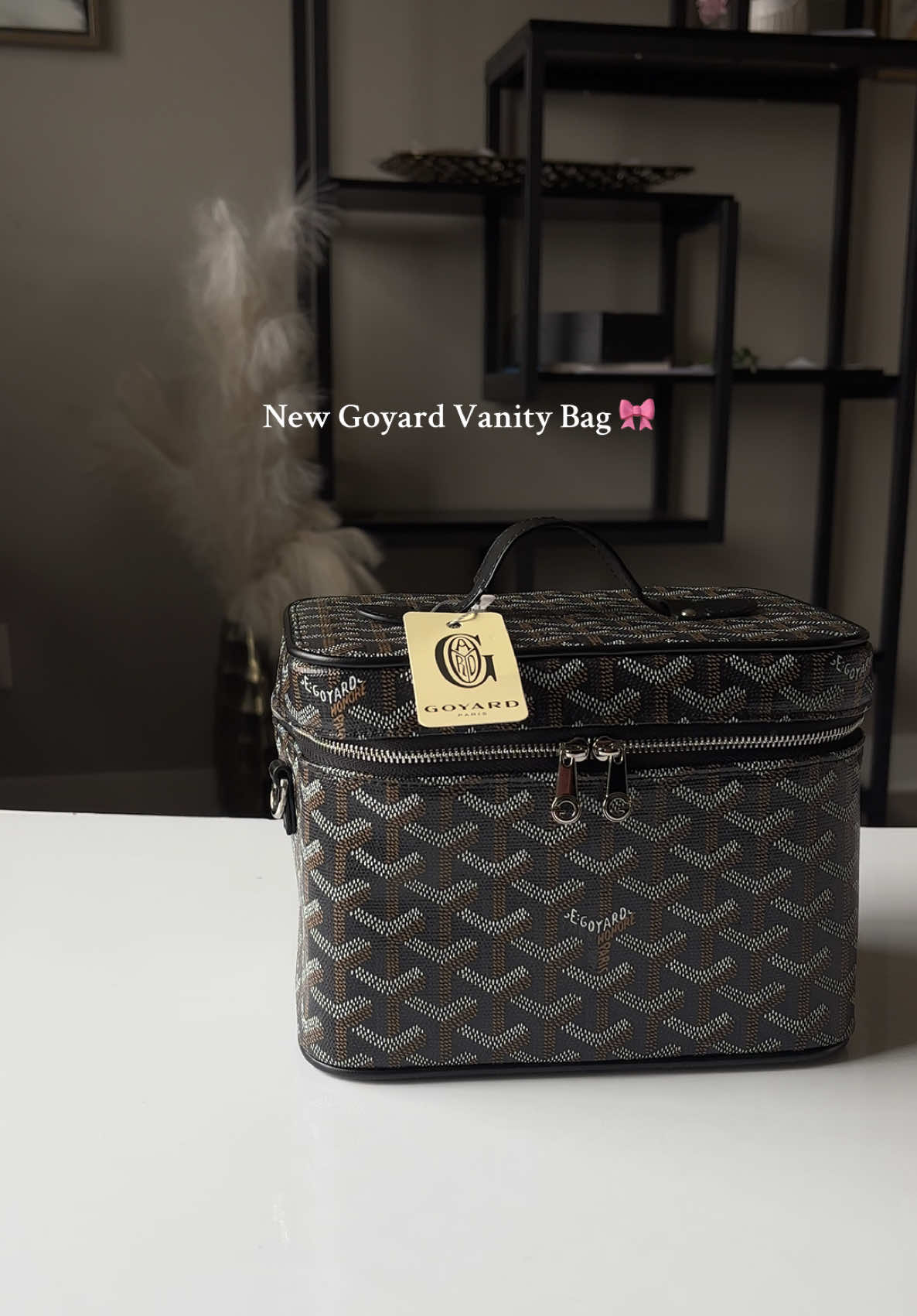 Just me & my Goyard taking over the world ✨  #goyard #vanitybag #foryoupage #fyp #Lifestyle 