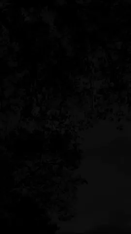 الصُّلح بين الزّوجين...!؟ أستغفر الله العظيم وأتوب إليه  اللّهمّ صلّ وسلّم على حبيبنا المُصطفى مُحمّد...