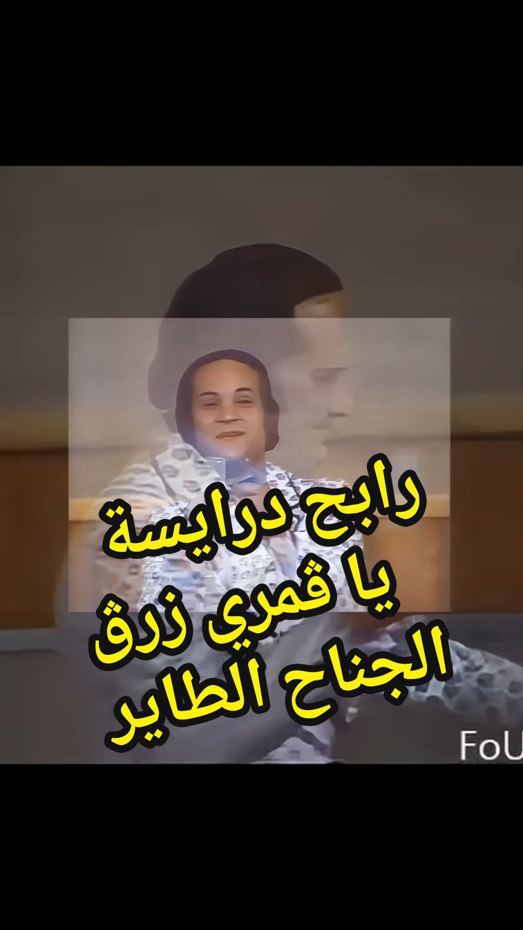 من أفضل ما غنى رابح درياسة أغنية يا ڨمري زرڨ الجناح الطاير#fyp #usa_tiktok #france #المغرب🇲🇦تونس🇹🇳الجزائر🇩🇿 #LIVEFest2024 