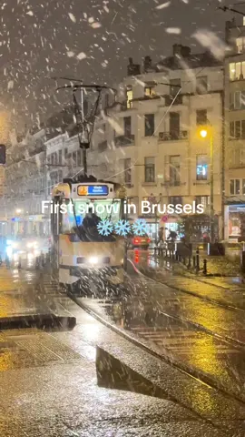 The first snow in Brussels in 2024 ❄️🌨️ Il neige à Bruxelles ❄️🥶❄️ #brussels #brussel #bruxelles #belgium #belgie #belgique #belgiumtiktok #belgium🇧🇪 #belgium🇧🇪🇧🇪🇧🇪 #snow #christmas #snowday #neige snow in Brussels snowing in Brussels neige à Bruxelles winter Brussel 