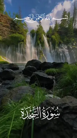 قرآن_Quran #تتجافى_جنوبهم_عن_المضاجع #سورة_السجدة #عبد_الباسط_عبد_الصمد #القرآن_الكريم #تلاوة_خاشعة #quran_alkarim #راحة_نفسية #سبحان_الله_وبحمده_سبحان_الله_العظيم #الحنجره_الذهبيه #ارح_سمعك_بالقران🎧♥️ 