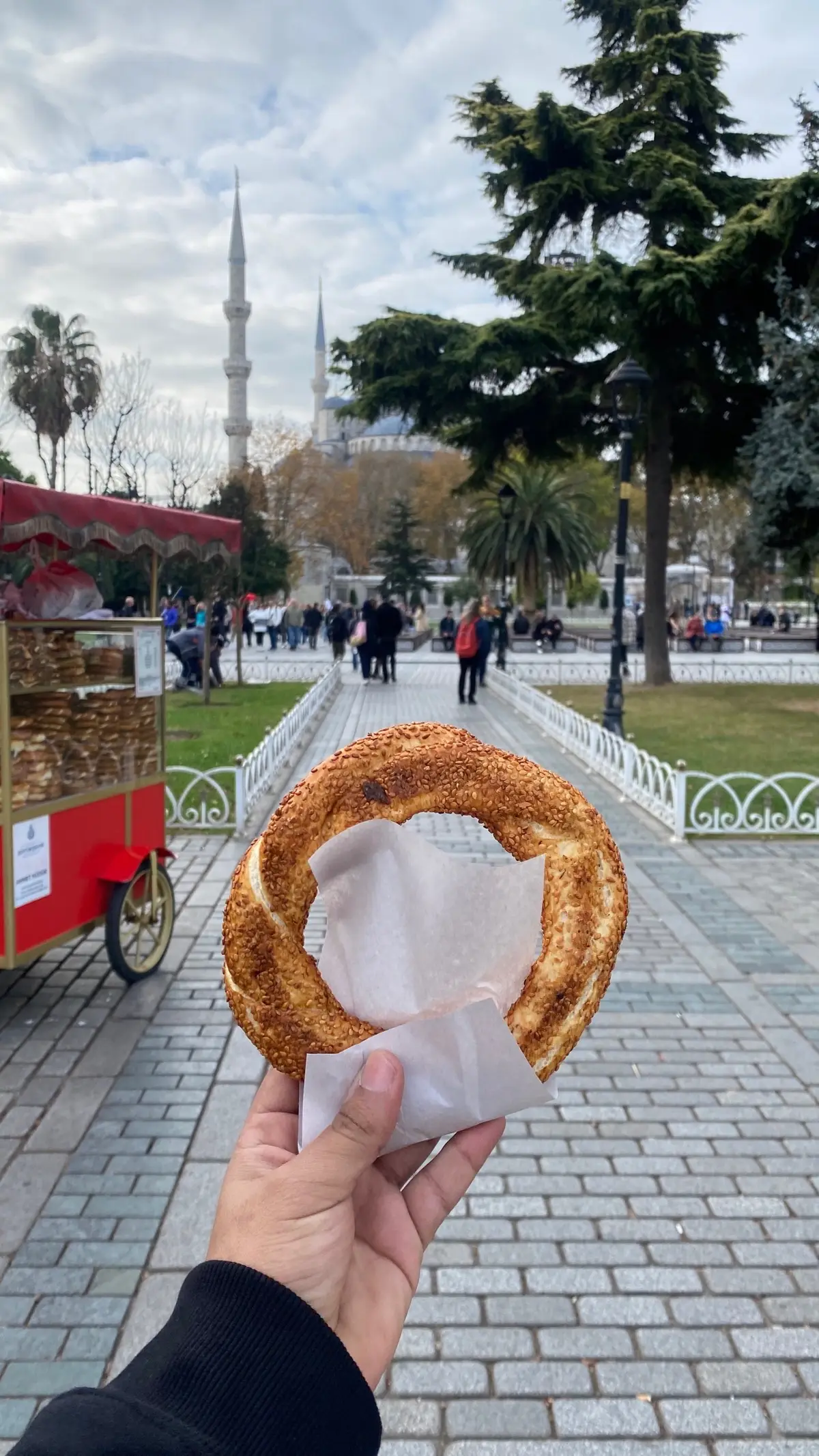 اسطنبول في نوفمبر غير ❤️😍#istanbul #اسطنبول #istanbul🇹🇷 #البوسفور #اكسبلورexplore #fyp #türkiye #اسطنبول🇹🇷 #bosforistanbul 