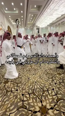 #explore #قحطان #رفيده #قحطان @MsQ 