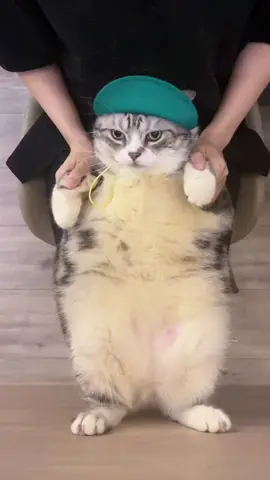 dancing cat🐱🐱 #cat #dance #fatcat #meme  #fyppppppppppppppppppppppp  #猫 #迷惑行為 #cutecat #cuteanimals 