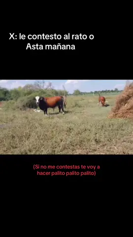 Palito palito palito 😁 #paratiii #E #palitopalitopalito #cowboy #vaquero 