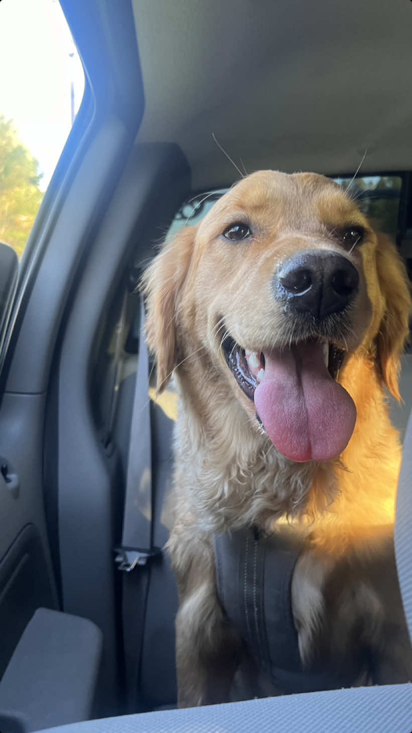 Goose and I are here for the girls! We will engage back!  Lets help eachother grow! #teamwork #engage #engagement