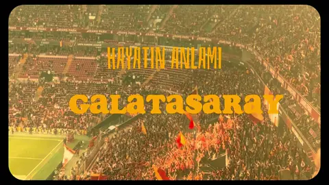 Hayatın tek anlamı 💛❤️ #fyp #galatasaray #ramsparkstadyumu 