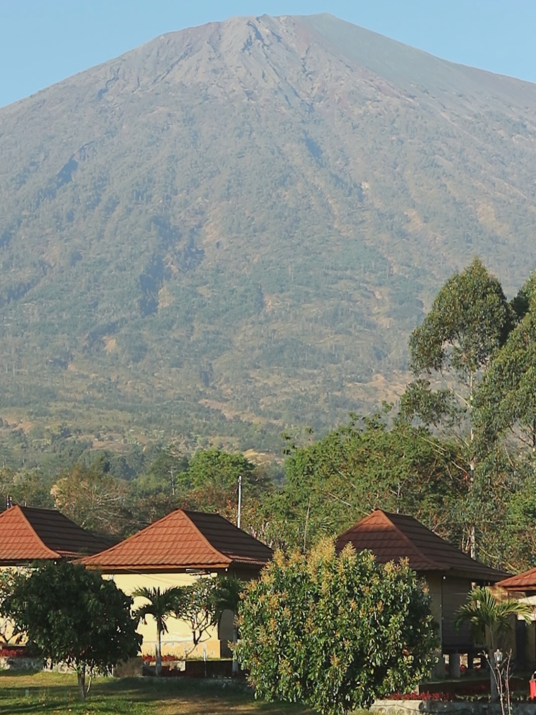 yakin gak mau kesini? #view #sembalun #rinjani #lombok #lomboktimur 