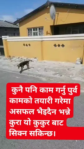 ##astrokalpanasubedi #ज्योतिषी_कल्पना_सुवेदी #tending #todays #astrology #tips 