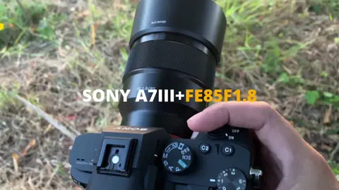 Sony a7iii+fe85f1.8 #cinematic #filmmaker #sonyalpha #sonya7iii #sunset 
