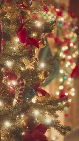 It’s the Most Wonderful Time Of The Year 🎄 #itsthemostwonderfultimeoftheyear #andywilliams #christmascountdown #lyrics #christmas #lyricsedit #christmasvibes #holiday #trending #viral #christmastree