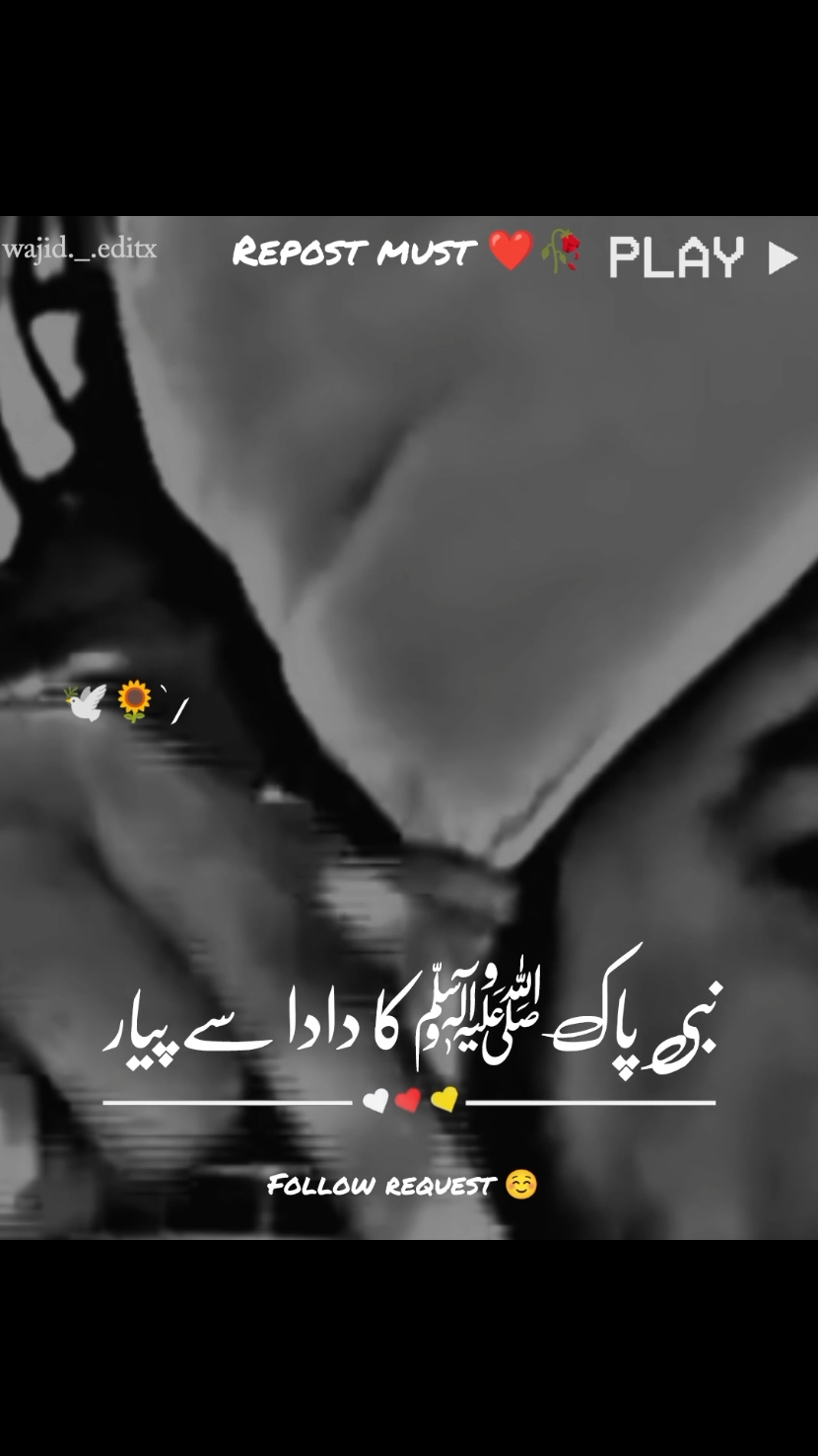 Repost guys #islamicquotes #fyp #foryou #ajmalrazaqadri #bayyan #goviral #1millionaudition #1millionviews 